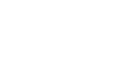 clientFakeLogo__0000_vodafone